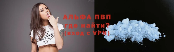 spice Абаза