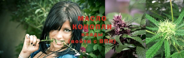 spice Абаза