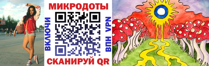 blacksprut ссылка  Шилка  Галлюциногенные грибы MAGIC MUSHROOMS  где продают  
